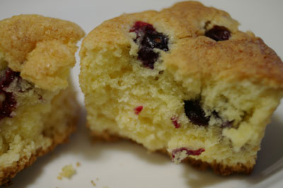 20050522muffin2.jpg