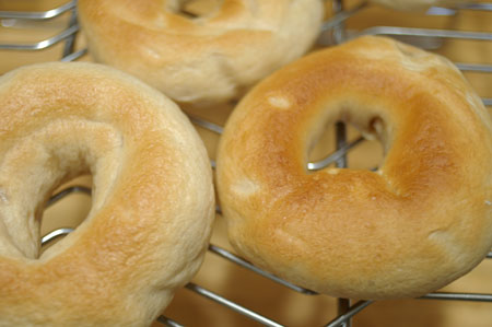 20050529bagel.jpg
