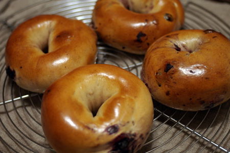 blueberry bagel