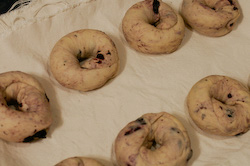 キャンバス地にならべる