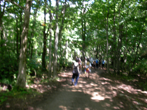 frf07-1stday-1.jpg