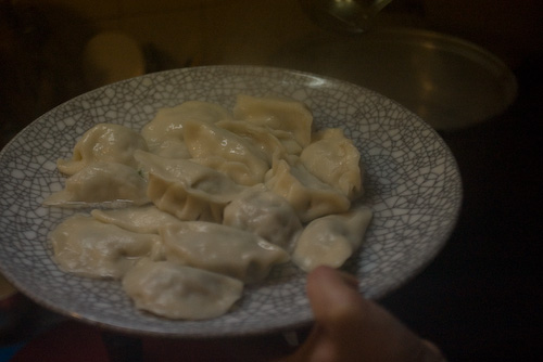 ume_gyoza_portugal5.jpg